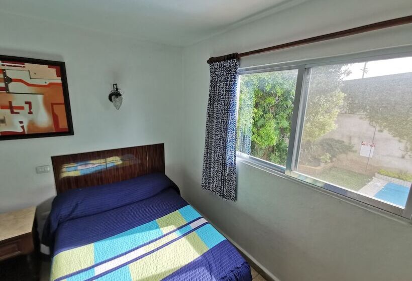 Standardeinzelzimmer, Las Dalias Inn