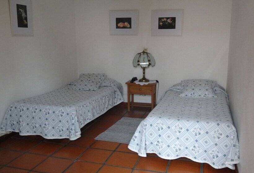 اتاق سوپریور, Posada De La Flor