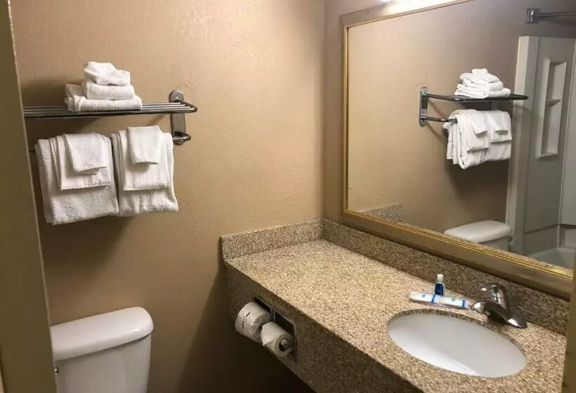 キングサイズベッドのスタンダードルーム, Rodeway Inn Joint Base Andrews Area