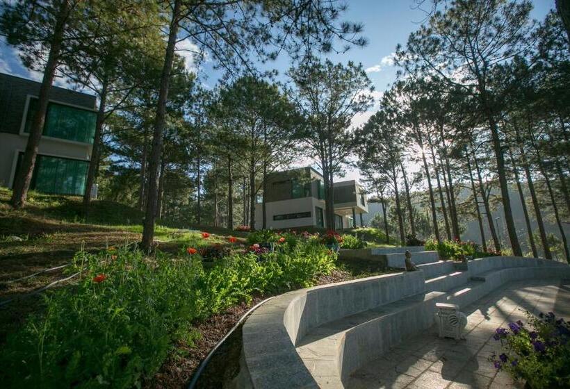 ویلای 4 خوابه, Terracotta Hotel & Resort Dalat