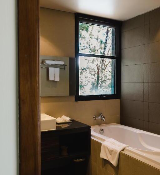 ویلا پریمیوم 1 خوابه, Terracotta Hotel & Resort Dalat