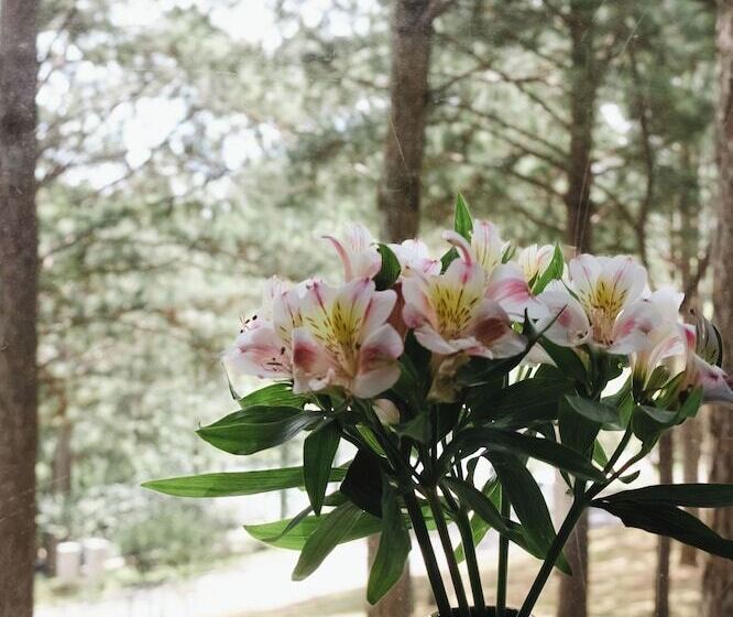 اتاق لوکس, Terracotta Hotel & Resort Dalat