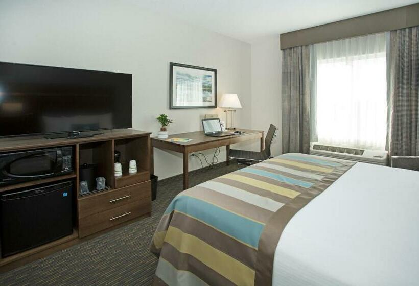 带大床的豪华间, Wingate By Wyndham Calgary Airport