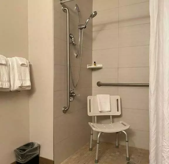 障害者適応デラックスルーム, Wingate By Wyndham Calgary Airport