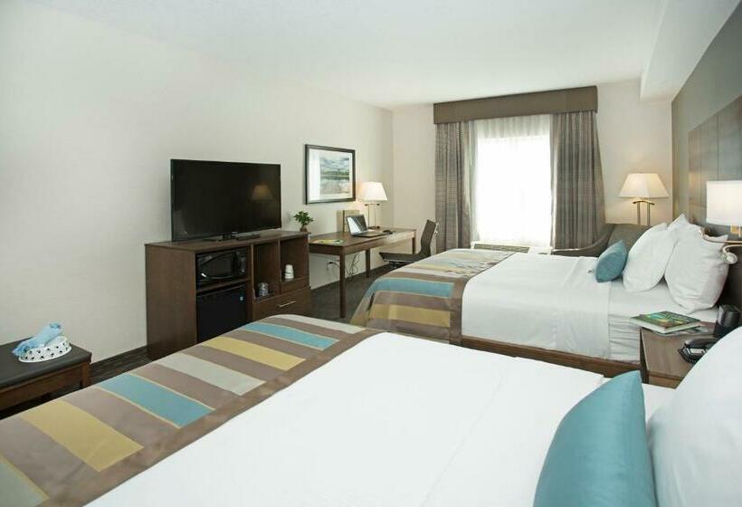 标准间, Wingate By Wyndham Calgary Airport