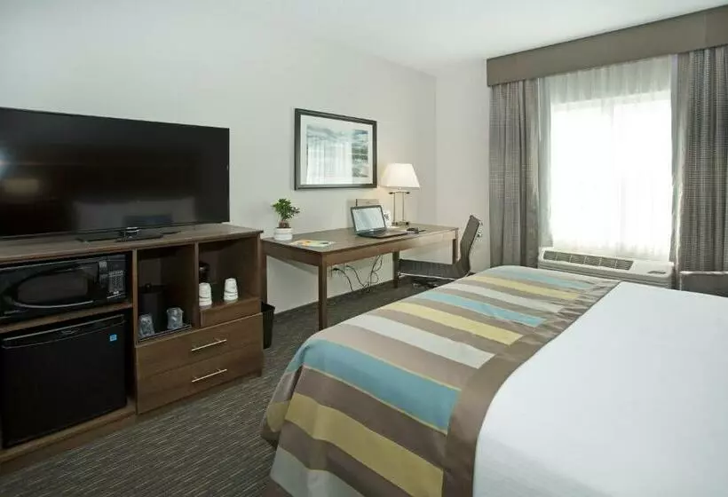 キングサイズベッドのスタンダードルーム, Wingate By Wyndham Calgary Airport