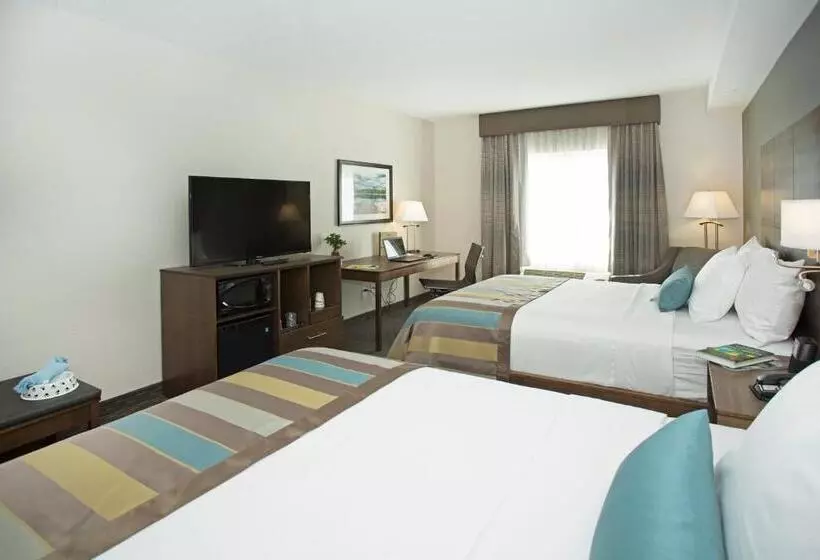 障害者適応デラックスルーム, Wingate By Wyndham Calgary Airport