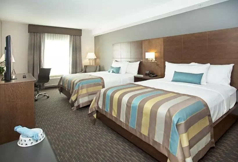 障害者適応デラックスルーム, Wingate By Wyndham Calgary Airport