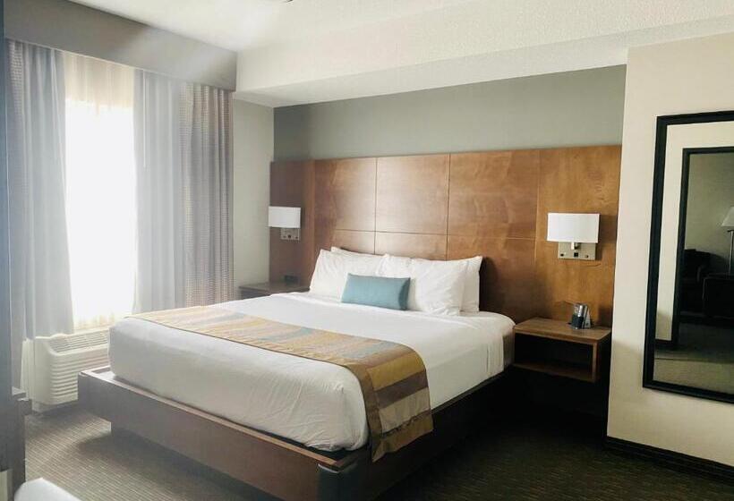 キングサイズベッドのデラックススイート, Wingate By Wyndham Calgary Airport