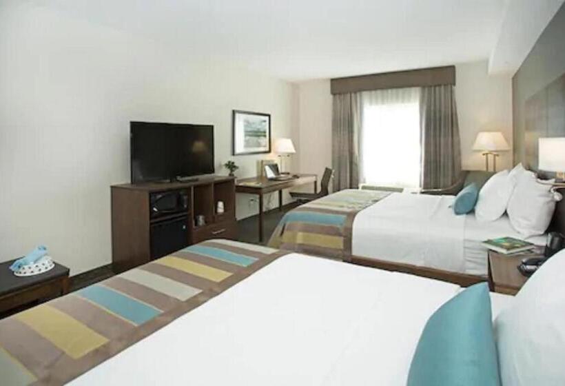 标准间, Wingate By Wyndham Calgary Airport