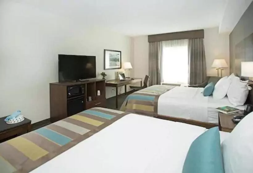 スタンダードルーム, Wingate By Wyndham Calgary Airport