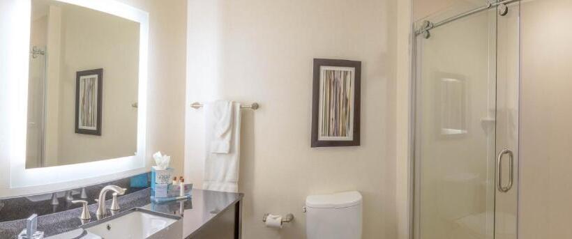 带大床的标准间, Wingate By Wyndham Loveland Johnstown