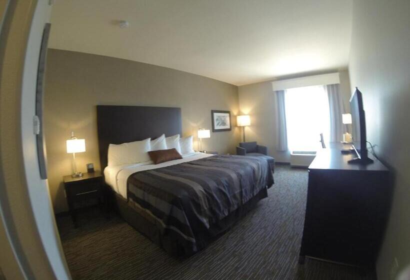 带大床的标准间, Wingate By Wyndham Loveland Johnstown