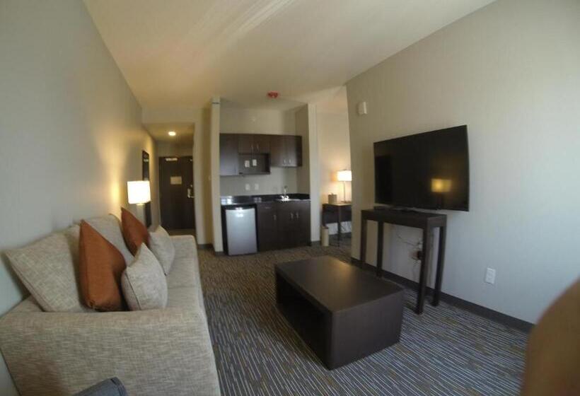 带大床的复式套间, Wingate By Wyndham Loveland Johnstown