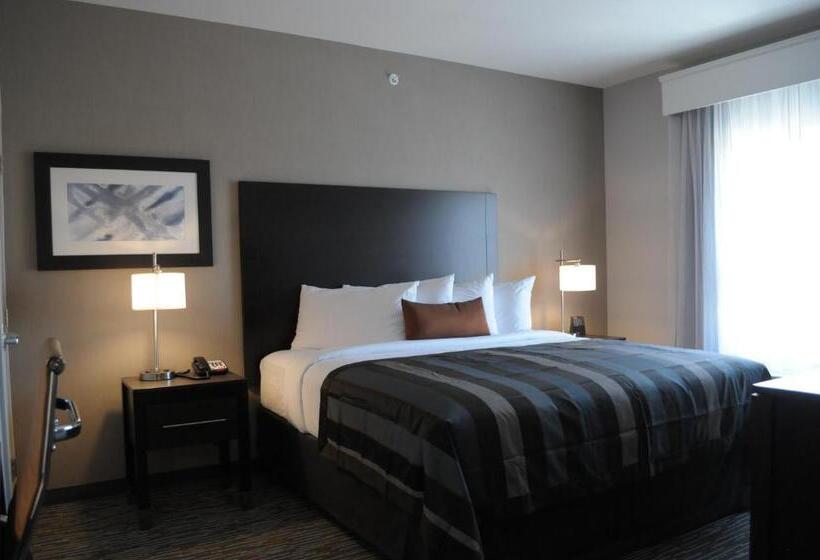 适合残疾人士使用的带超级大床的标准间, Wingate By Wyndham Loveland Johnstown