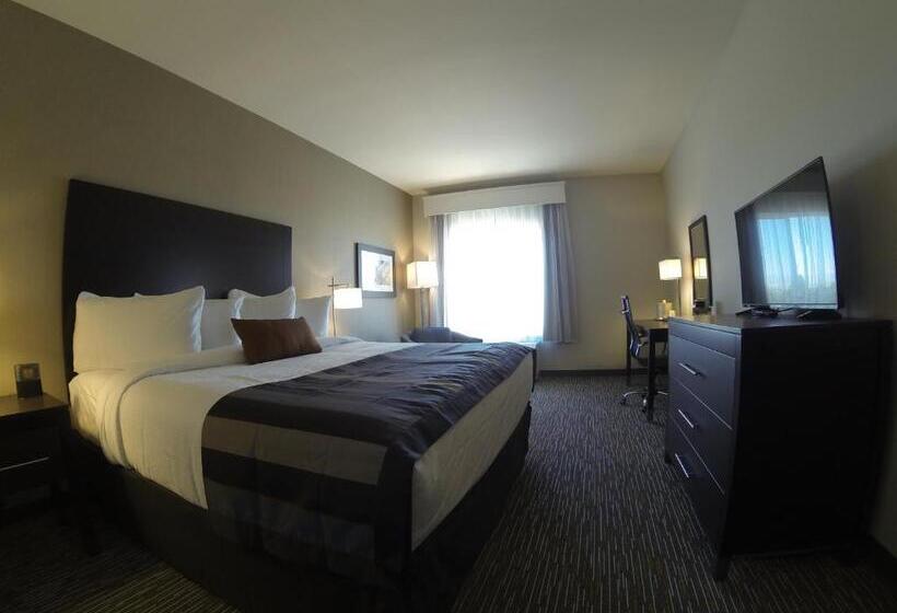 适合残疾人士使用的带超级大床的标准间, Wingate By Wyndham Loveland Johnstown