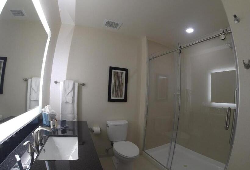 适合残疾人士使用的带超级大床的标准间, Wingate By Wyndham Loveland Johnstown