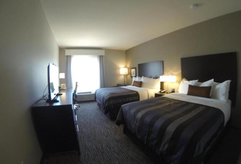 适合残疾人使用的标准间, Wingate By Wyndham Loveland Johnstown