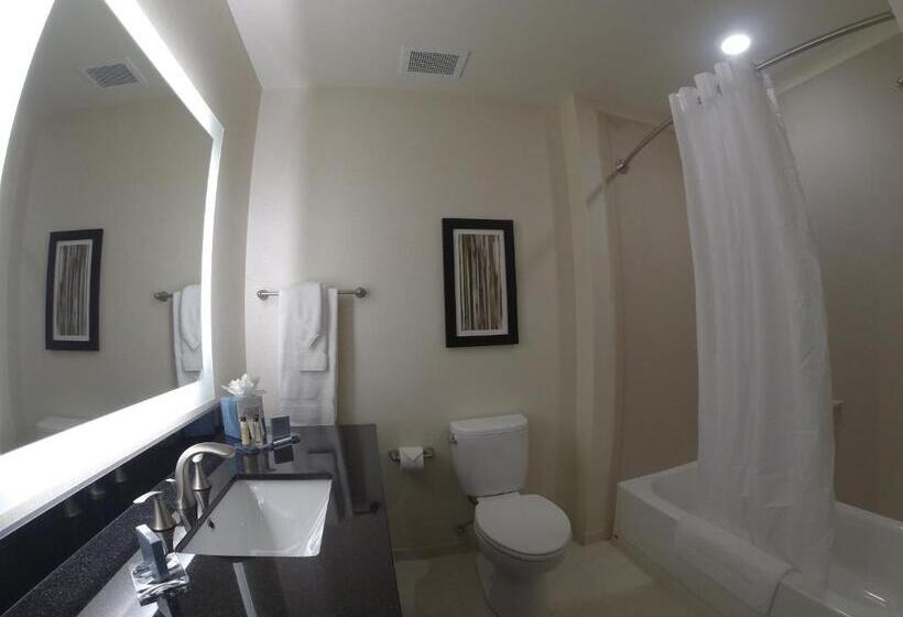 适合残疾人使用的标准间, Wingate By Wyndham Loveland Johnstown