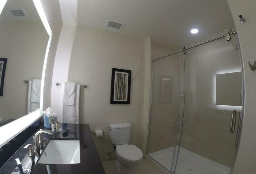 带大床的标准间, Wingate By Wyndham Loveland Johnstown