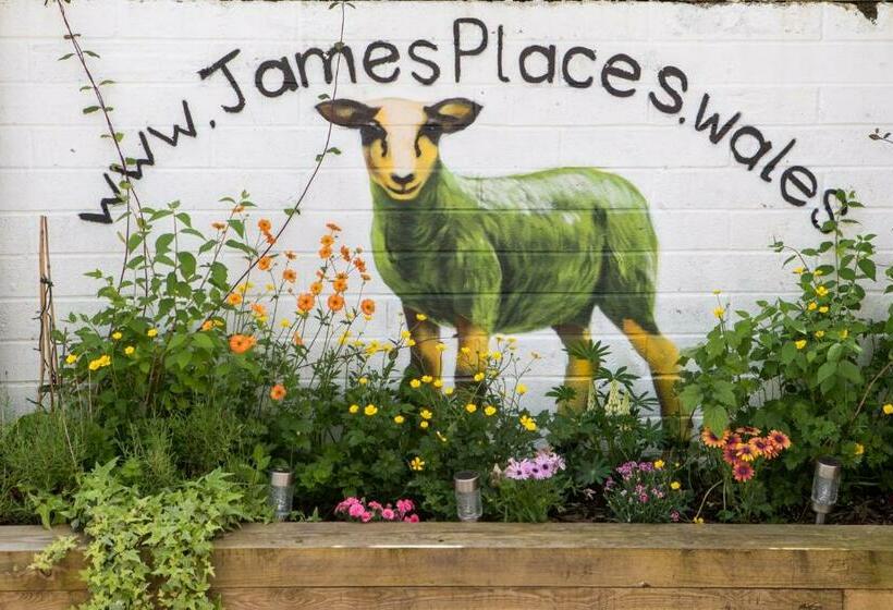 Студия Deluxe, James  Place At Brynawel