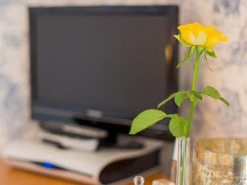 スタンダードルーム, James  Place At Brynawel