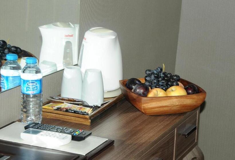 חדר סטנדרט, Adana City Boutique