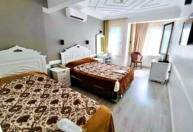 اتاق استاندارد, Alp Guesthouse