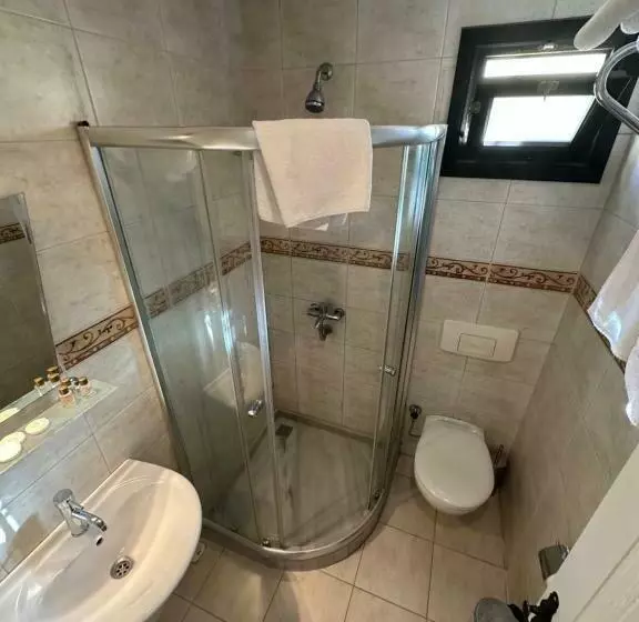 スタンダードシングルルーム, Alp Guesthouse