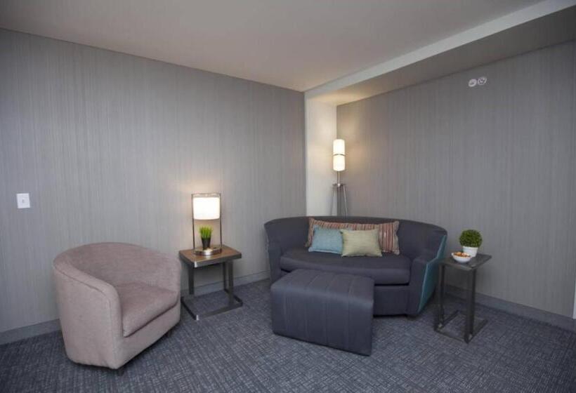 スタンダードルーム, Courtyard By Marriott Houston City Place