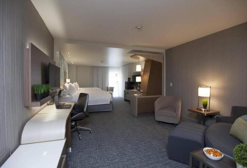 スタンダードルーム, Courtyard By Marriott Houston City Place