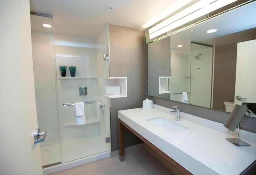 身障者適用キングサイズベッドルーム, Courtyard By Marriott Houston City Place