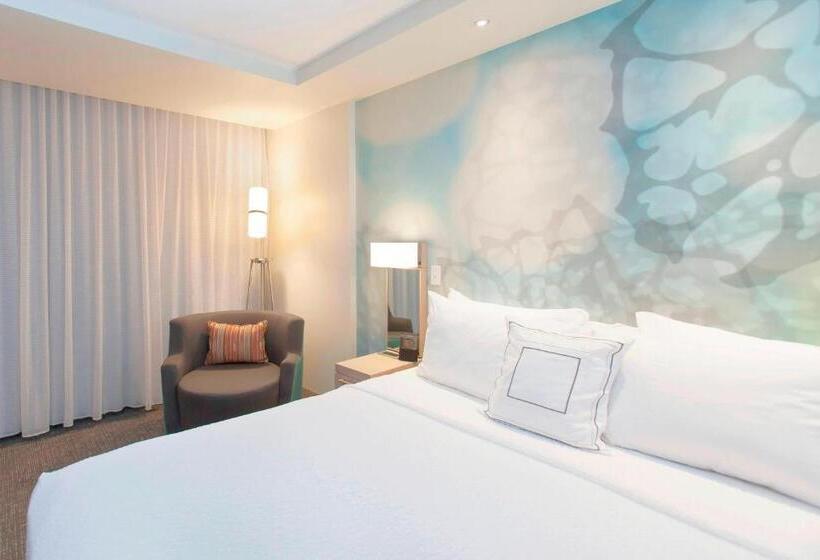 Номер Стандарт Кровать Кинг Адаптированный для Инвалидов, Courtyard By Marriott Houston City Place