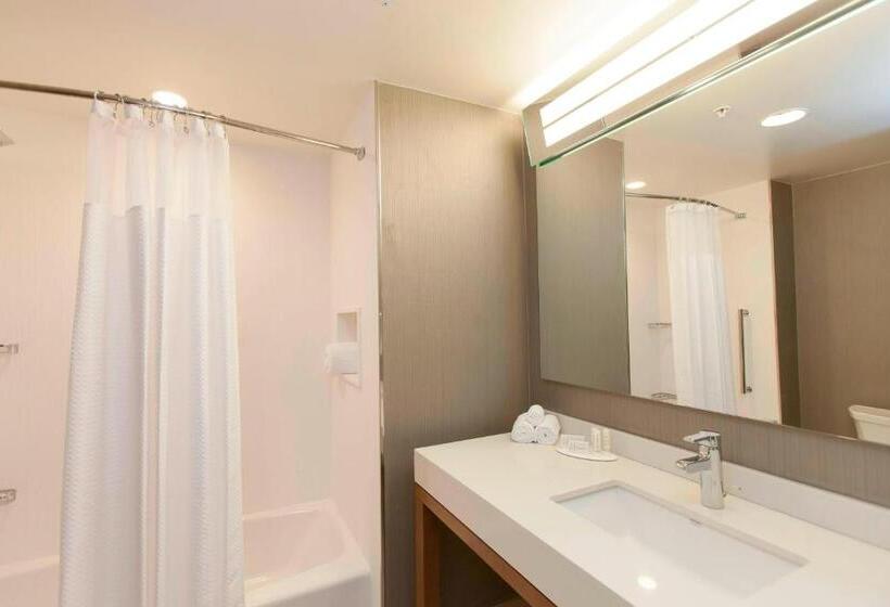 Номер Стандарт Адаптированный для Инвалидов, Courtyard By Marriott Houston City Place