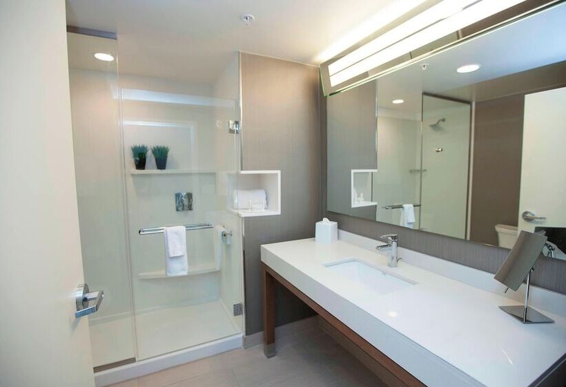 スタンダードルーム, Courtyard By Marriott Houston City Place