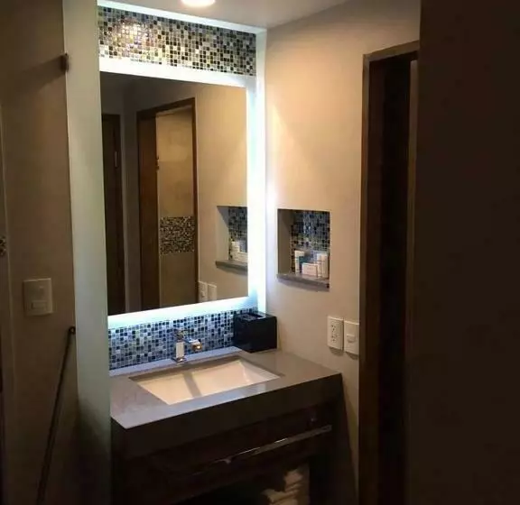 スタンダードルーム, Hampton Inn By Hilton Piedras Negras