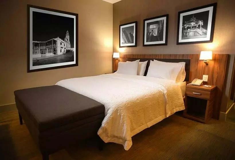 キングサイズベッドのスタンダードルーム, Hampton Inn By Hilton Piedras Negras