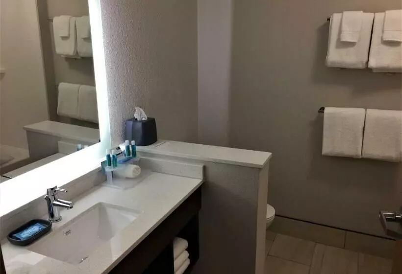 身障者適用キングサイズベッドルーム, Holiday Inn Express & Suites Danville, An Ihg