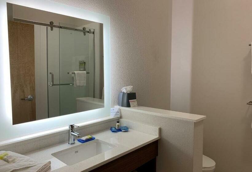 带大床的高级房间, Holiday Inn Express & Suites Danville, An Ihg