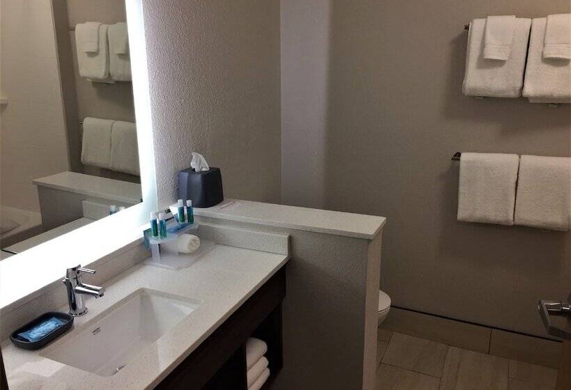 适合残疾人士使用的套间, Holiday Inn Express & Suites Danville, An Ihg