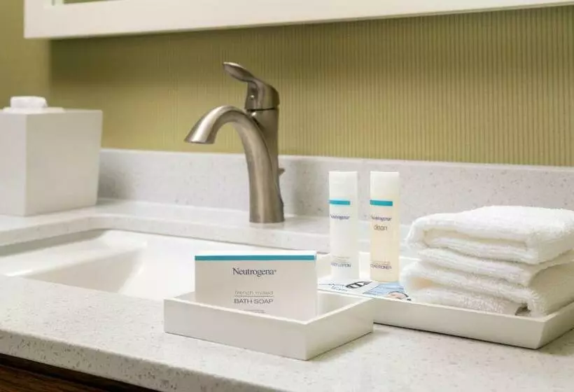 キングサイズベッドのスイートルーム, Home2 Suites By Hilton Denver International Airport