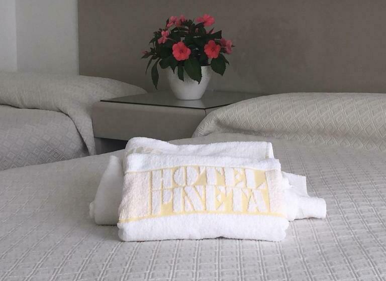 חדר סטנדרט לשלושה, Pineta