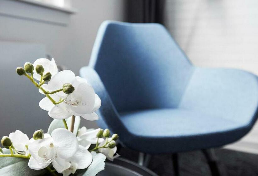 舒适型房间, Skjern