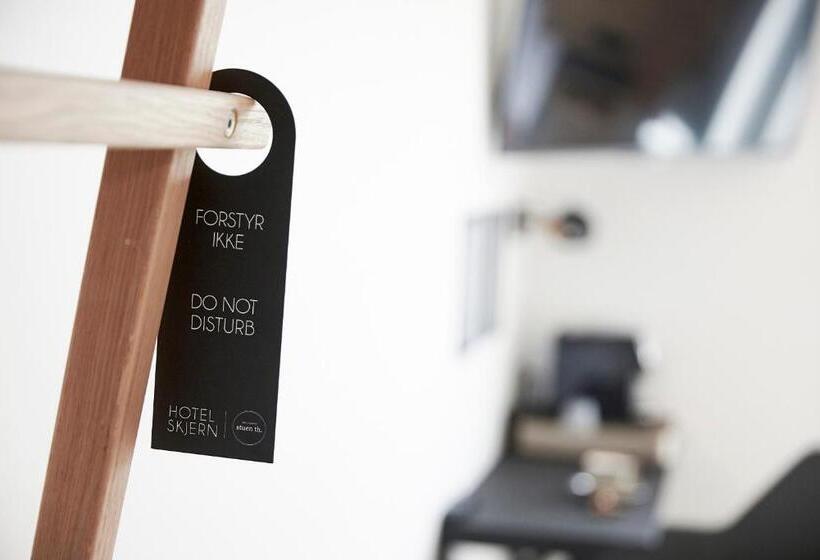 豪华房间, Skjern