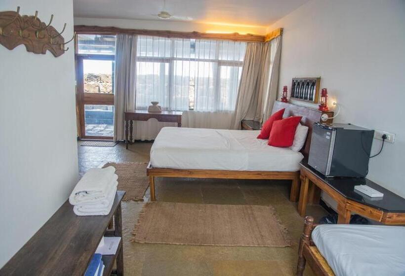 标准间, 36 Palms Boutique Retreat