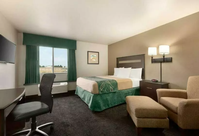 キングサイズベッドのデラックスルーム, Baymont By Wyndham Glendive