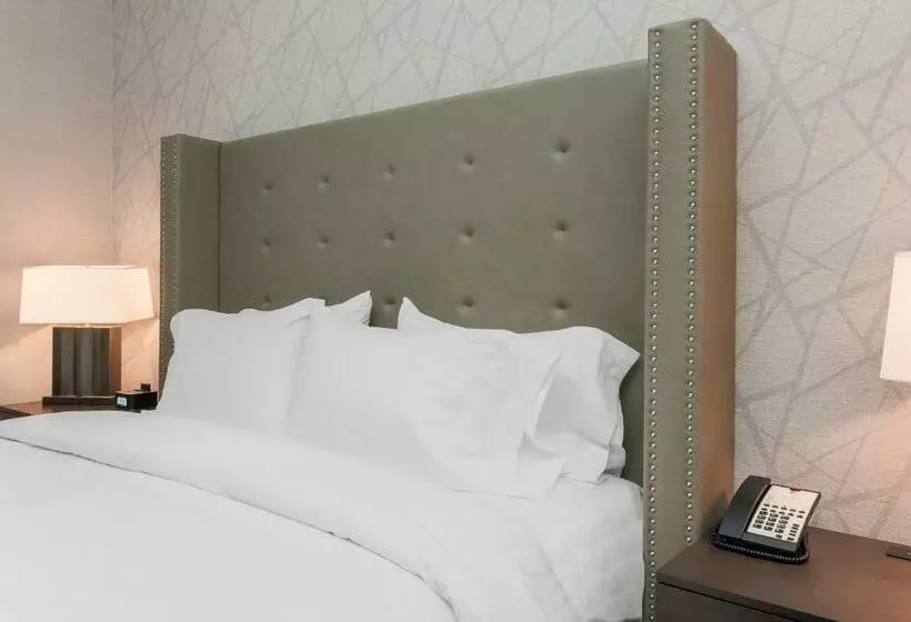 身障者適用キングサイズベッドルーム, Doubletree By Hilton Evansville