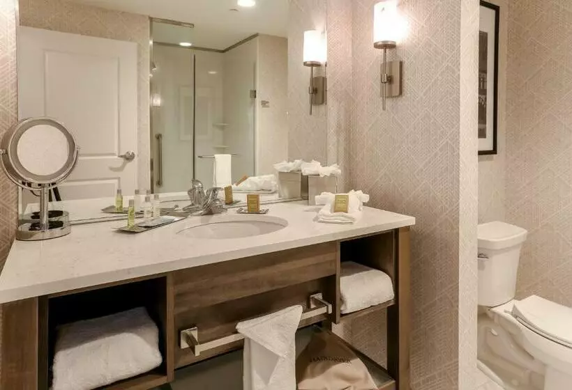 身障者適用キングサイズベッドルーム, Doubletree By Hilton Evansville