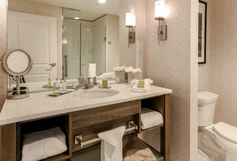 キングサイズベッドのジュニアスイート, Doubletree By Hilton Evansville