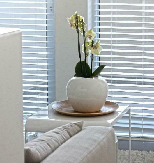 اتاق لوکس, Swakopmund Luxury Suites